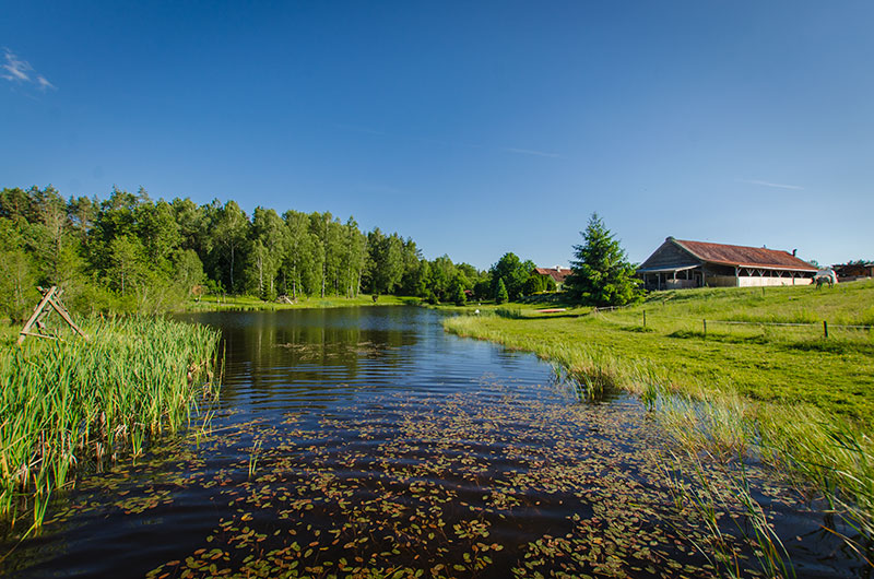 Dworek u Pelców - Jeziorko